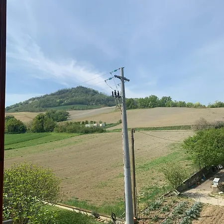 Gli Ulivi