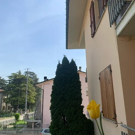 Gli Ulivi